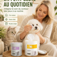Lingettes nettoyantes naturelles à base de plantes pour les yeux et les oreilles des animaux de compagni