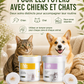 Lingettes nettoyantes naturelles à base de plantes pour les yeux et les oreilles des animaux de compagni