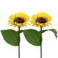 🌻Lampes LED solaires en forme de tournesol à planter dans le jardin